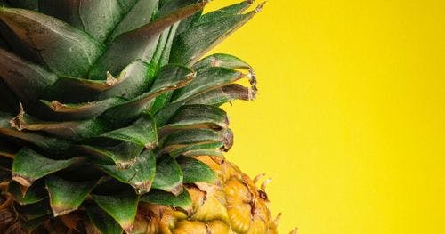 Auf dem Bild ist der obere Teil einer Ananas vor leuchtend gelbem Hintergrund abgebildet.