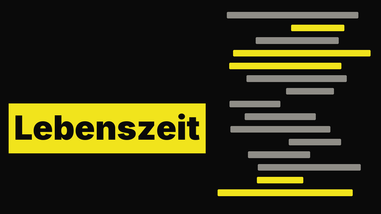 Lebenszeit