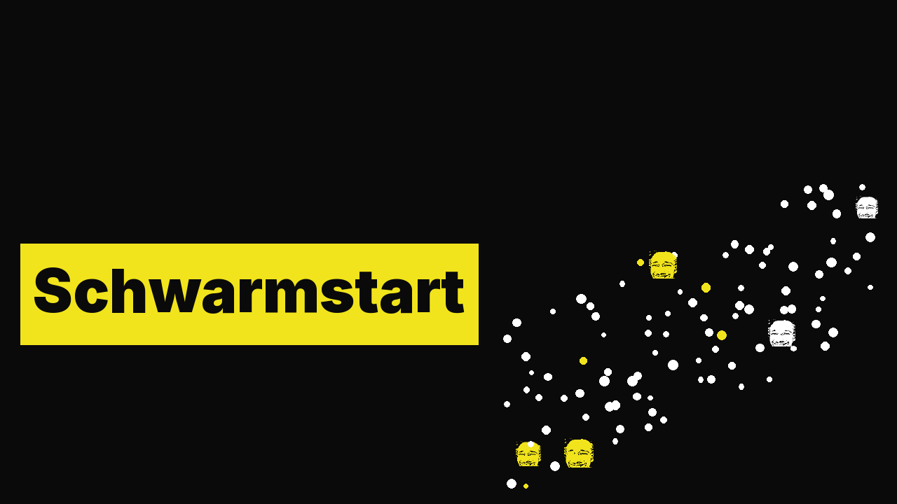 Schwarmstart