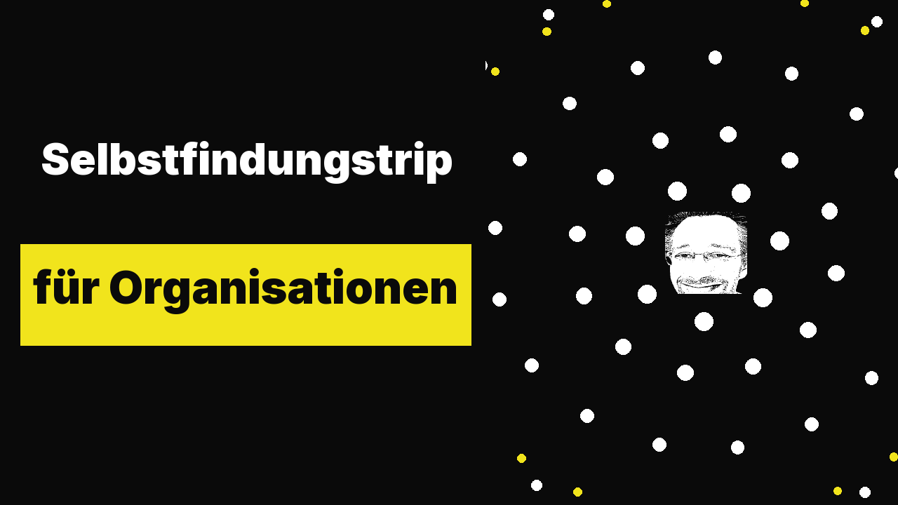 Selbstfindungstrip für Organisationen