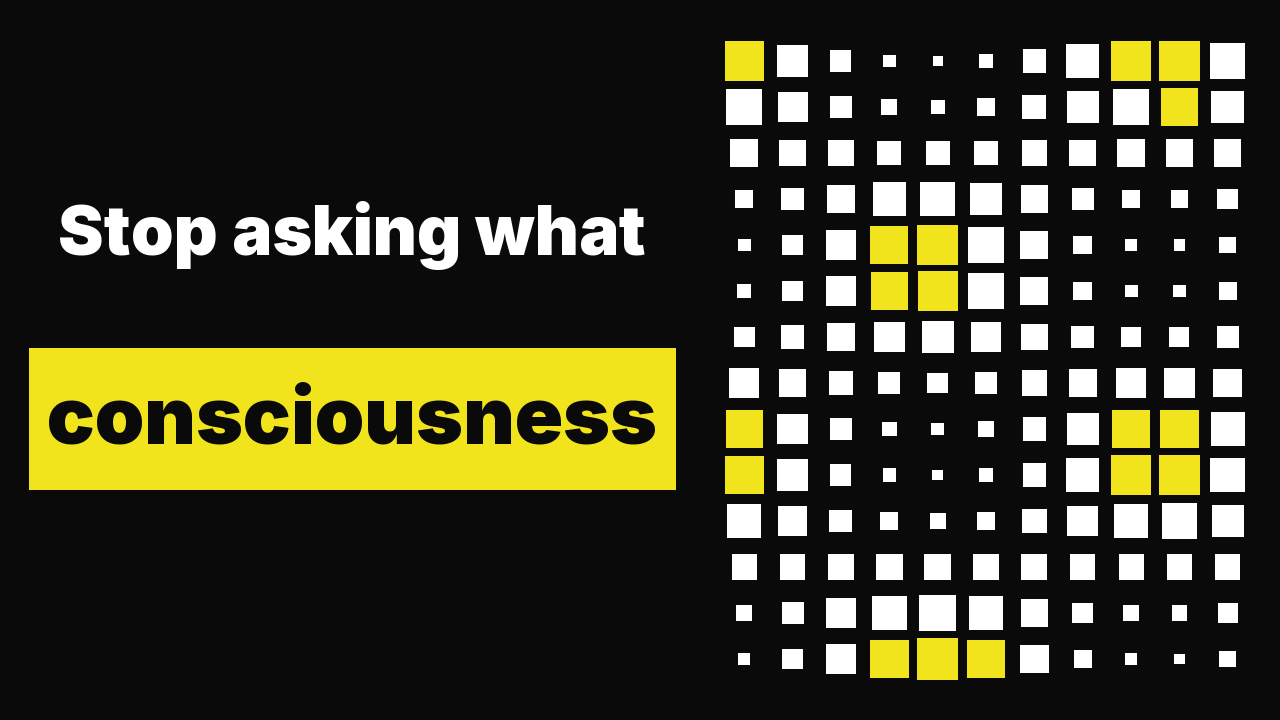 Stop asking what consciousness is