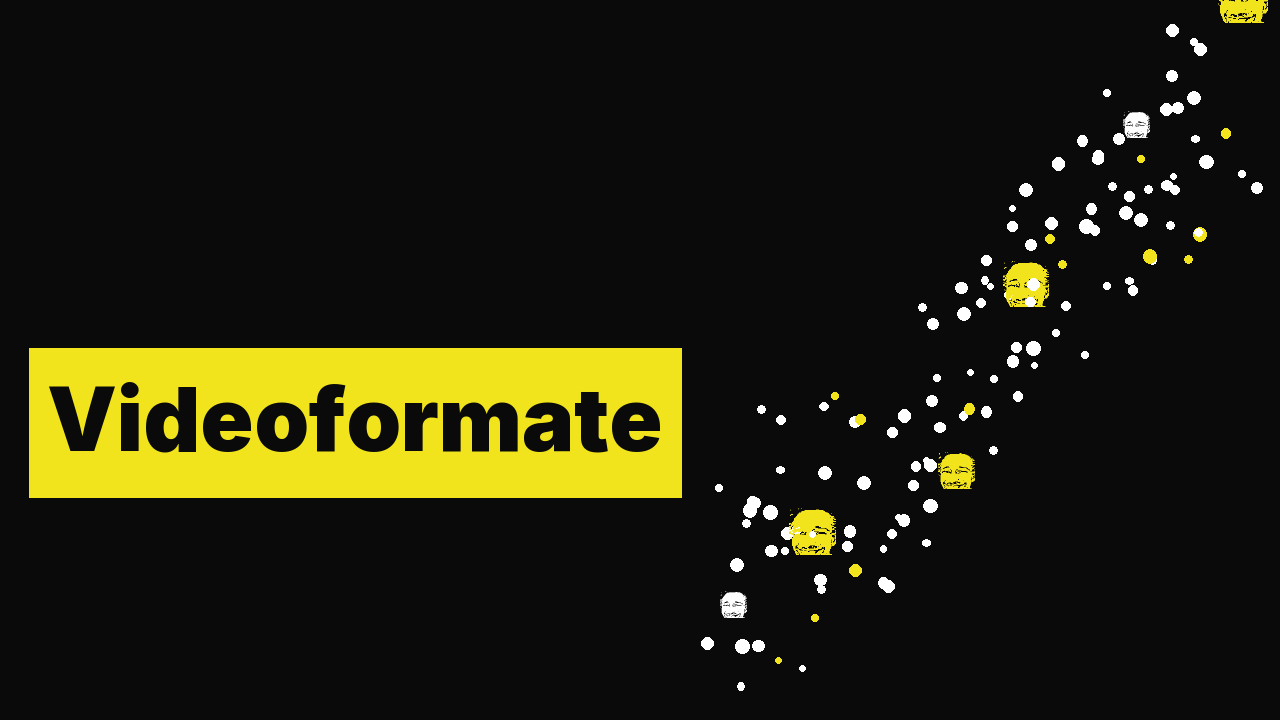 Videoformate