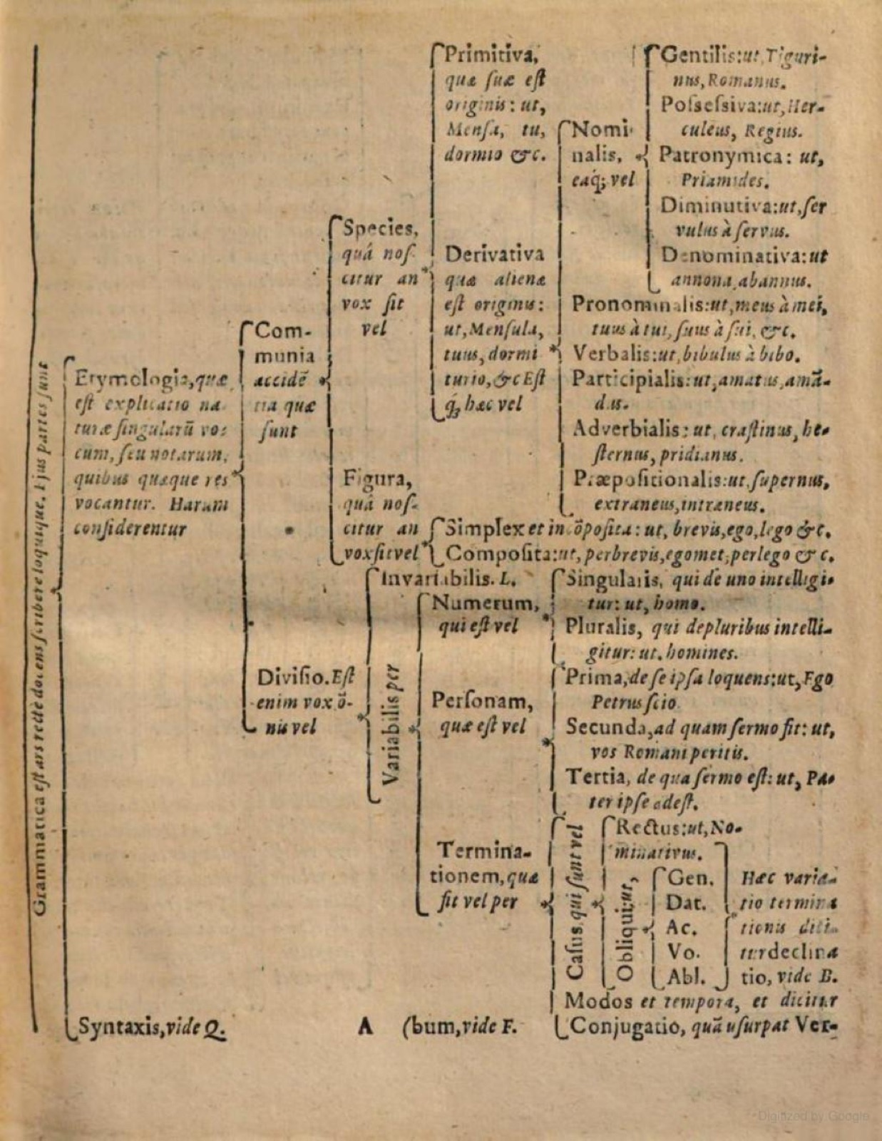 Grammar tree, plate A, from Jacob Lorhard, Ogdoas Scholastica, St. Gallen, 1606